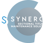 Synergy logo transparent with circle